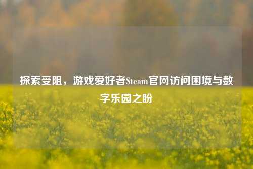 探索受阻,游戏爱好者Steam官网访问困境与数字乐园之盼