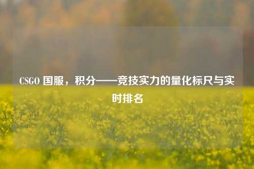 CSGO 国服，积分——竞技实力的量化标尺与实时排名