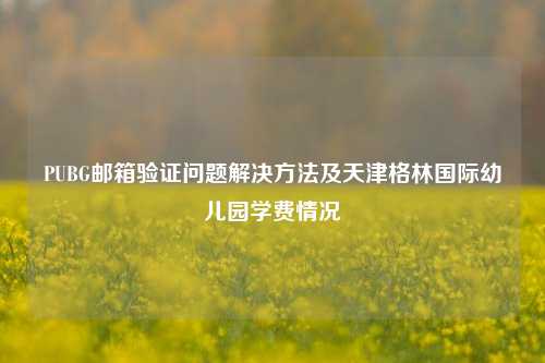 PUBG邮箱验证问题解决方法及天津格林国际幼儿园学费情况