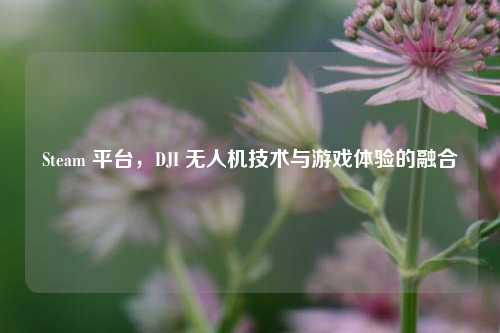 Steam 平台,DJI 无人机技术与游戏体验的融合