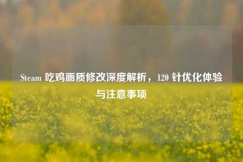 Steam 吃鸡画质修改深度解析,120 针优化体验与注意事项