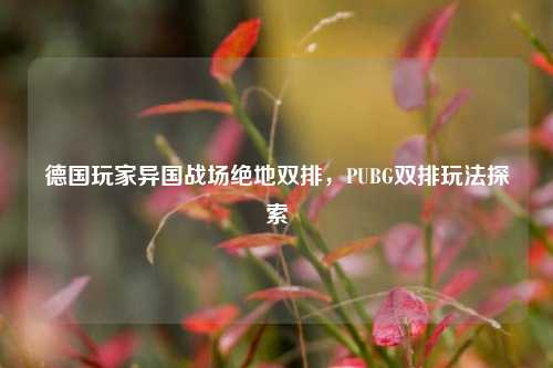 德国玩家异国战场绝地双排,PUBG双排玩法探索