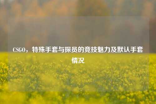 CSGO，特殊手套与探员的竞技魅力及默认手套情况