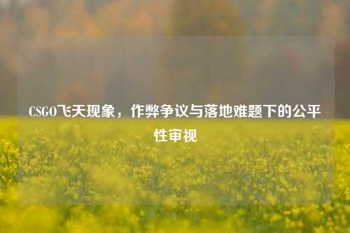 CSGO飞天现象,作弊争议与落地难题下的公平性审视