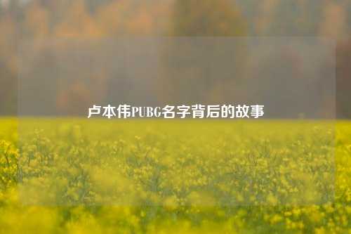 卢本伟PUBG名字背后的故事