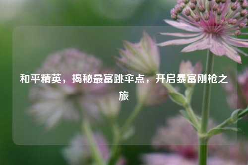 和平精英,揭秘最富跳伞点,开启暴富刚枪之旅