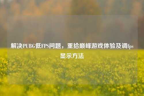 解决PUBG低FPS问题,重拾巅峰游戏体验及调fps显示方法
