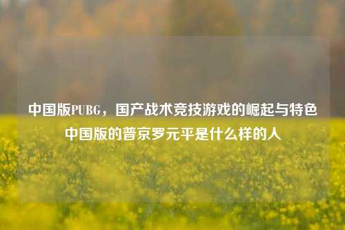 中国版PUBG,国产战术竞技游戏的崛起与特色中国版的普京罗元平是什么样的人
