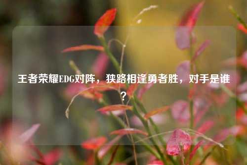 王者荣耀EDG对阵，狭路相逢勇者胜，对手是谁？