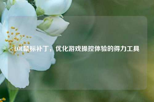 LOL鼠标补丁，优化游戏操控体验的得力工具