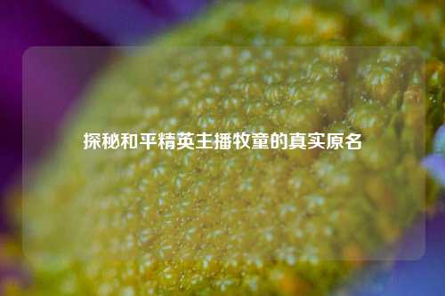 探秘和平精英主播牧童的真实原名