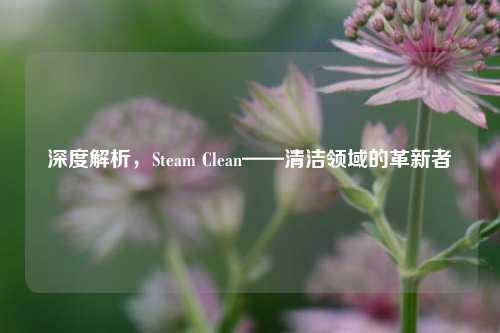 深度解析,Steam Clean——清洁领域的革新者
