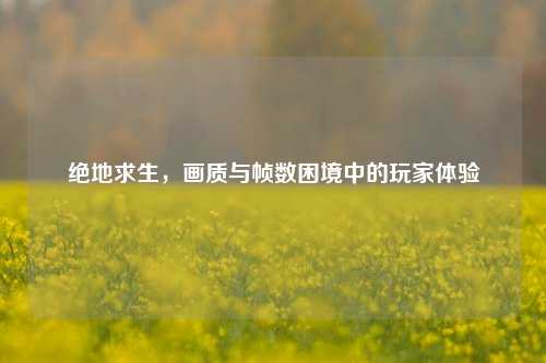 绝地求生，画质与帧数困境中的玩家体验