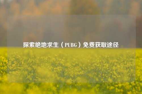 探索绝地求生（PUBG）免费获取途径