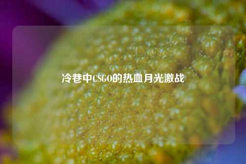 冷巷中CSGO的热血月光激战