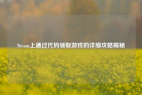 Steam上通过代码领取游戏的详细攻略揭秘