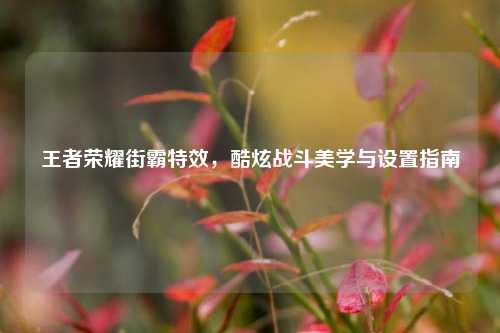 王者荣耀街霸特效,酷炫战斗美学与设置指南