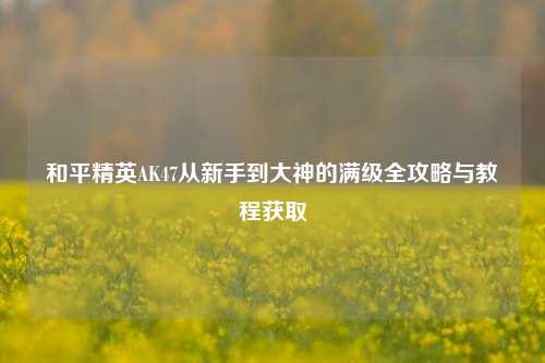 和平精英AK47从新手到大神的满级全攻略与教程获取