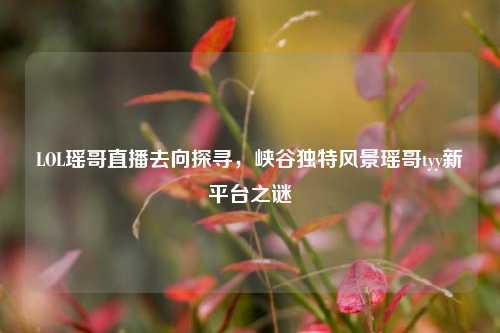 LOL瑶哥直播去向探寻,峡谷独特风景瑶哥tyy新平台之谜