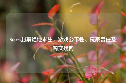 Steam封禁绝地求生,游戏公平性、玩家责任及购买疑问