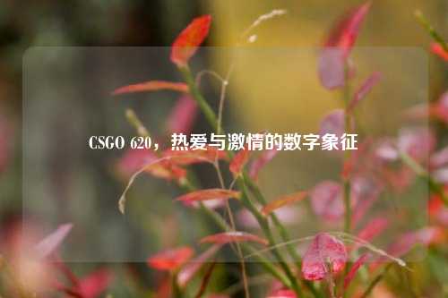 CSGO 620，热爱与激情的数字象征
