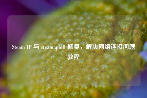 Steam IP 与 steamapidll 修复，解决网络连接问题教程