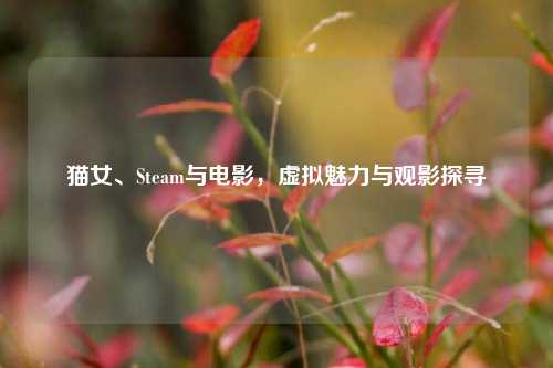 猫女、Steam与电影，虚拟魅力与观影探寻