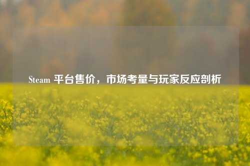 Steam 平台售价,市场考量与玩家反应剖析