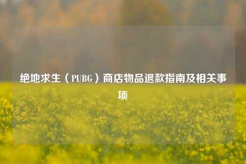 绝地求生(PUBG)商店物品退款指南及相关事项
