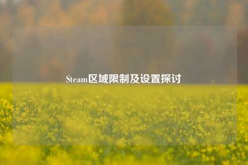 Steam区域限制及设置探讨
