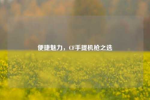 便捷魅力,CF手提机枪之选