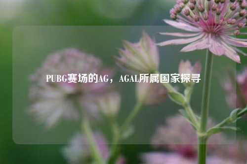 PUBG赛场的AG,AGAL所属国家探寻