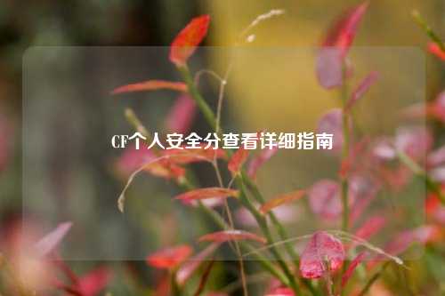 CF个人安全分查看详细指南