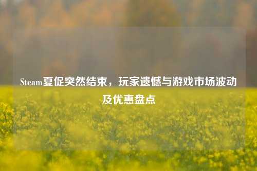 Steam夏促突然结束,玩家遗憾与游戏市场波动及优惠盘点