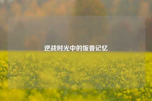 逆战时光中的饭香记忆