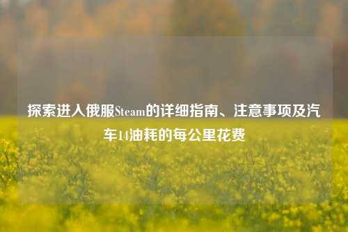 探索进入俄服Steam的详细指南、注意事项及汽车14油耗的每公里花费