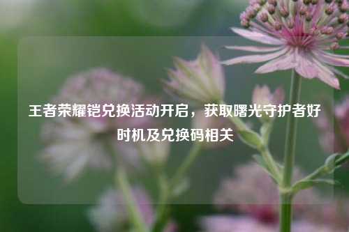 王者荣耀铠兑换活动开启,获取曙光守护者好时机及兑换码相关