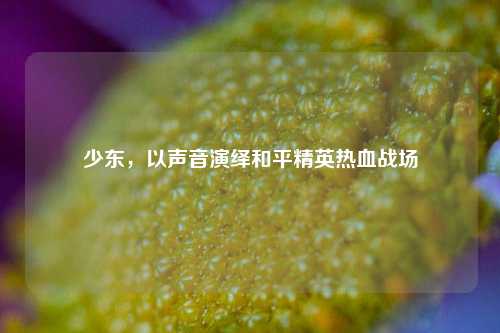 少东，以声音演绎和平精英热血战场