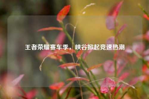 王者荣耀赛车季,峡谷掀起竞速热潮