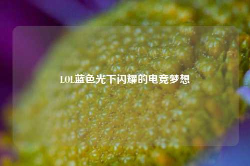 LOL蓝色光下闪耀的电竞梦想