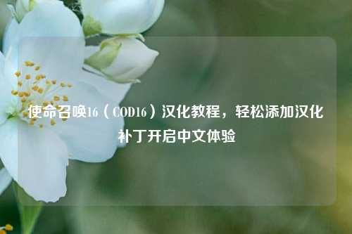 使命召唤16（COD16）汉化教程，轻松添加汉化补丁开启中文体验
