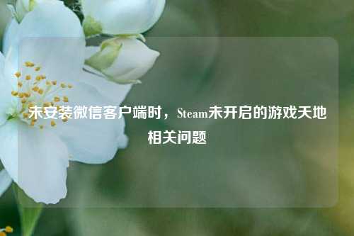未安装微信客户端时，Steam未开启的游戏天地相关问题