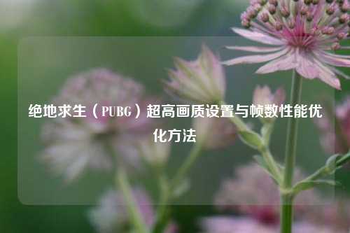 绝地求生(PUBG)超高画质设置与帧数性能优化方法