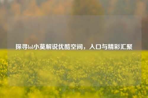 探寻lol小莫解说优酷空间,入口与精彩汇聚