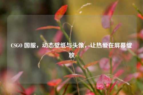 CSGO 国服，动态壁纸与头像，让热爱在屏幕绽放