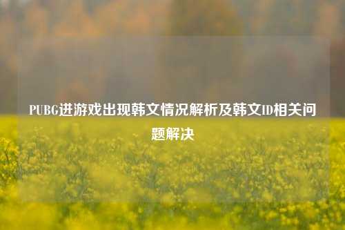 PUBG进游戏出现韩文情况解析及韩文ID相关问题解决