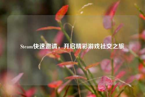 Steam快速邀请，开启精彩游戏社交之旅