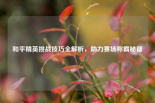 和平精英挑战技巧全解析,助力赛场称霸秘籍