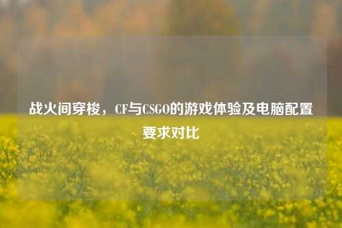 战火间穿梭，CF与CSGO的游戏体验及电脑配置要求对比