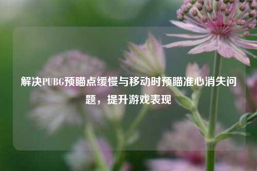 解决PUBG预瞄点缓慢与移动时预瞄准心消失问题,提升游戏表现